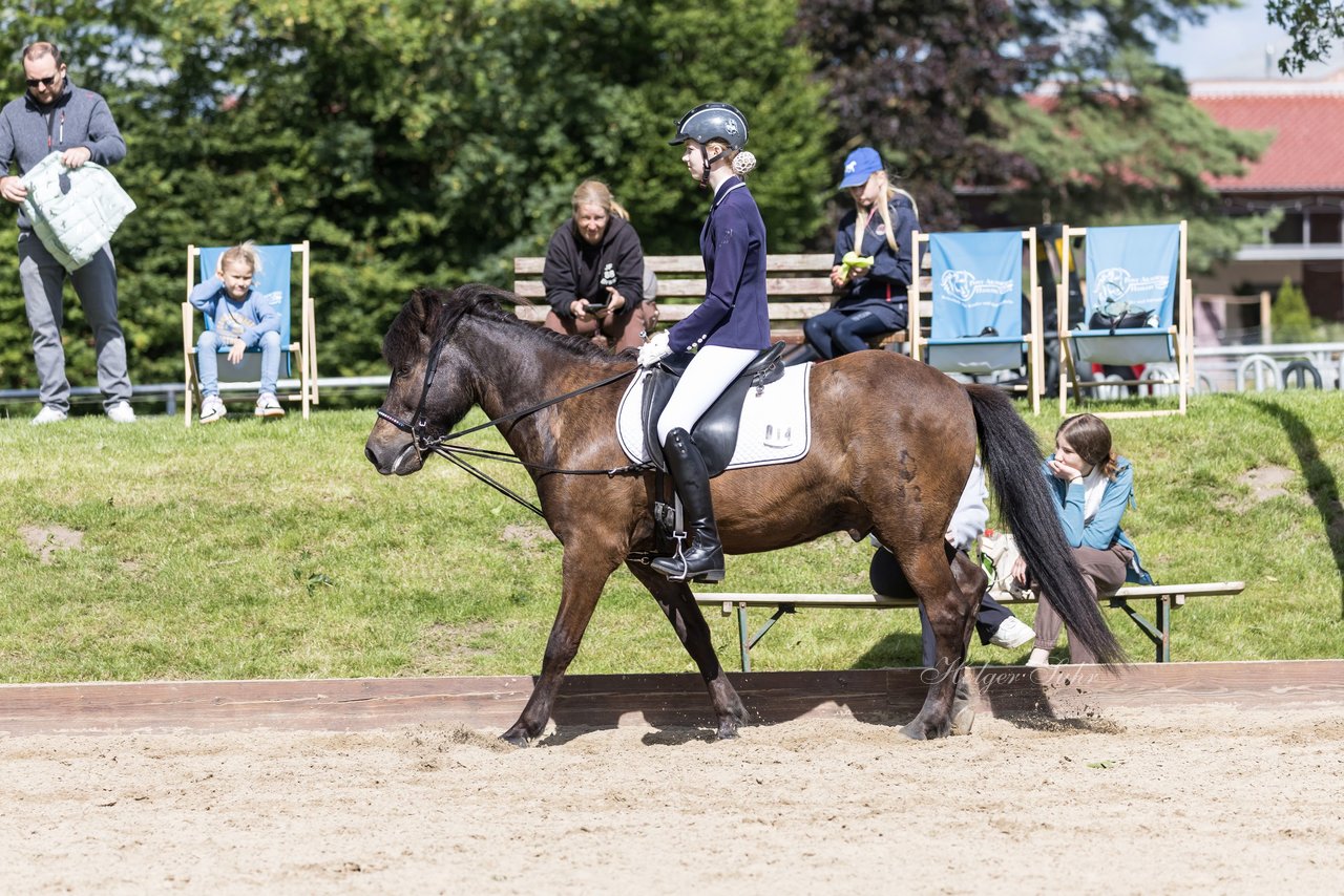 Bild 443 - Pony Akademie Turnier